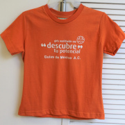   Playera - Descubre tu potencial