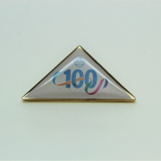   Pin 100