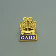   Pin Gaus